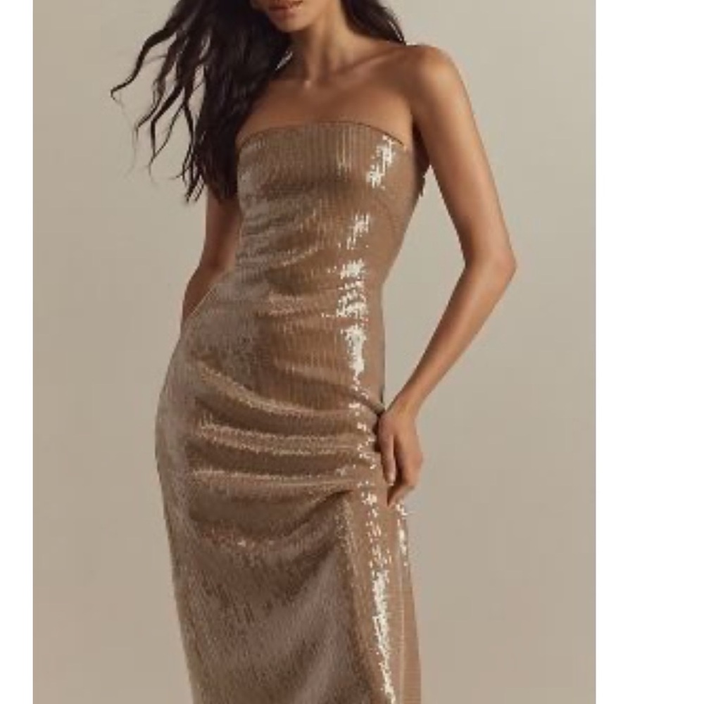 Anthropologie Hutch Sequin Column Midi Dress